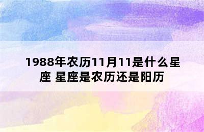 1988年农历11月11是什么星座 星座是农历还是阳历